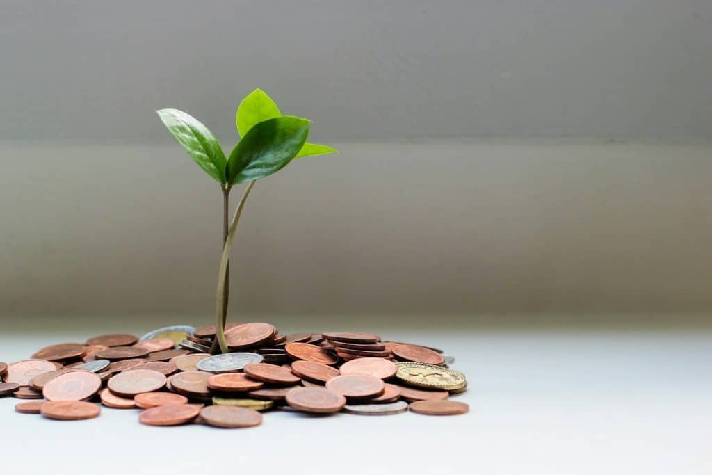 image of a plant growing from coins as an analogy for green energy costs